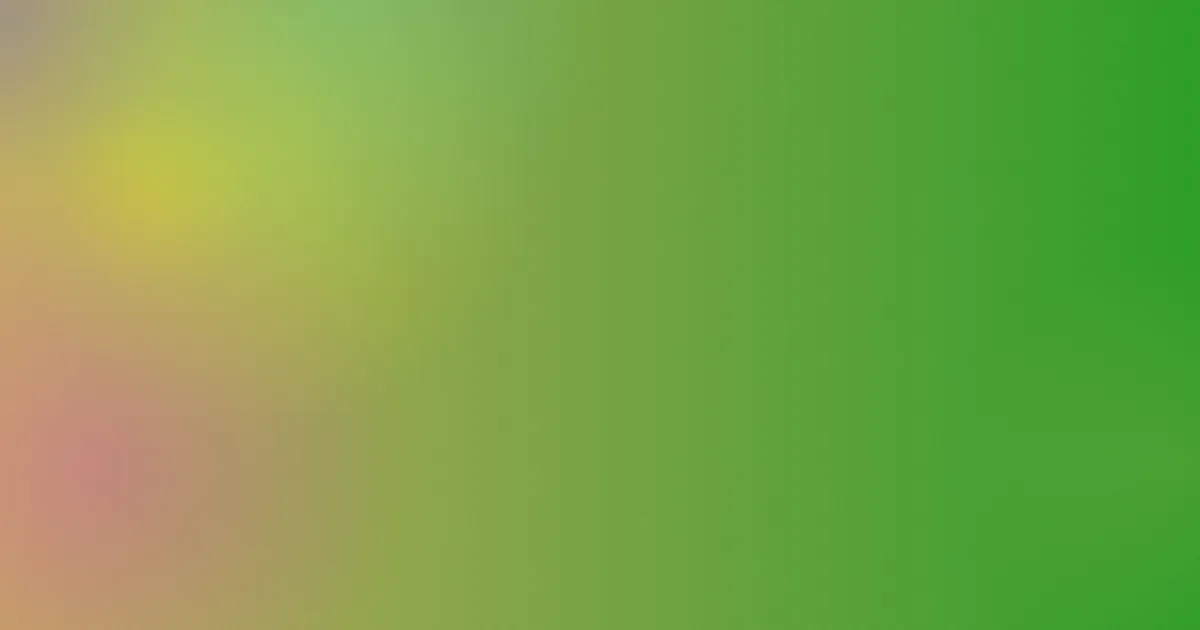 天天插插测评：避坑版流程